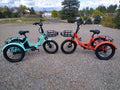 ABORON 3.0 Fat Tire Electric Trike for Senior Foldable E Bike, 500W Motorized Tricycle Adult 20" Folding 3 Wheel Electric Commute Bike Trike W/48V